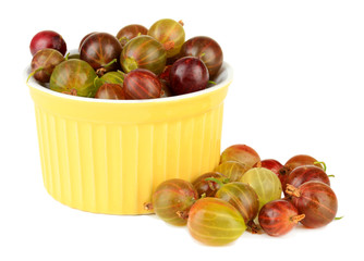 Fresh gooseberries in bowl isolated on white