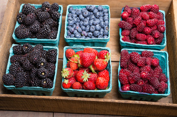 Boxes of fresh berries just picked at the market