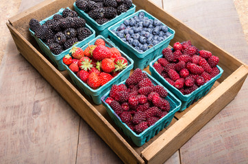 Boxes of fresh berries just picked at the market