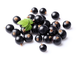 Ripe blackcurrant with leaf