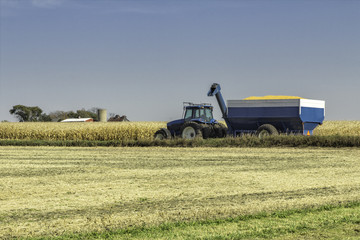 Fototapeta premium Blue agliculture tractor