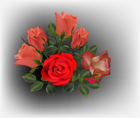 bright red roses on grey background