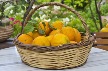 корзина с апельсинами