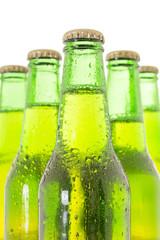 Row of beer bottles