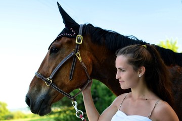 équitation
