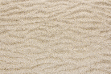 yellow sea beach or Desert sand wave for texture and background