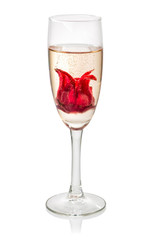 Sekt Cocktail mit Hibiskusblüte