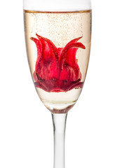 Sekt Cocktail mit Hibiskusblüte