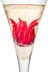 Sekt Cocktail mit Hibiskusblüte