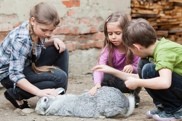 Children playing with rabbit