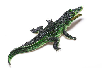 Crocodile toy on white background