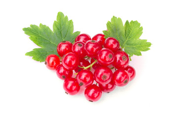 red currant with a green leaves