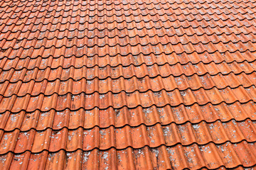 Tile roof