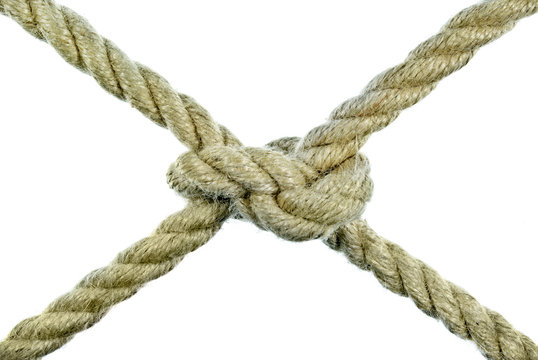 The rope tied in a knot on a white background.