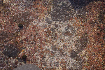 Dry sand on rock