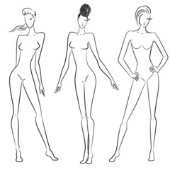 The sketch of women in different poses