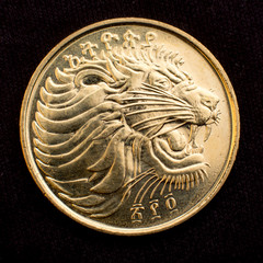 Face of a Lion on a coin