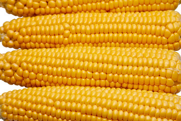 Fresh sweetcorn