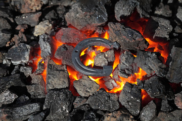 Horseshoe