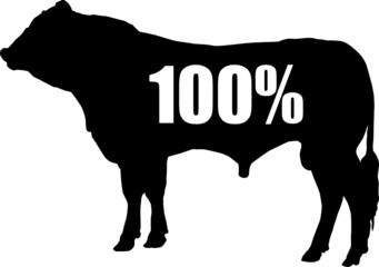 Rindfleisch 100%