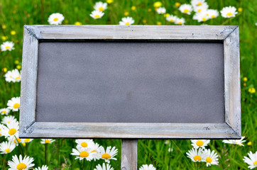 Tafel Sommer Garten Schild