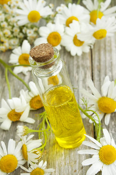Chamomile essence and flowers