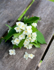 Fototapeta na wymiar bunch of jasmine flowers on wooden garden table