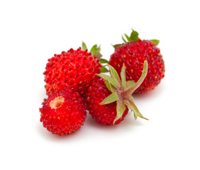 wild strawberries isolated on white background
