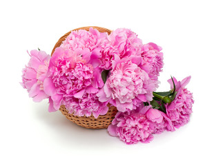 basket of peonies isolated on white background