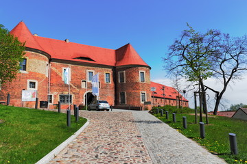 Fototapeta na wymiar Burg Eisenhardt