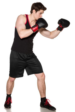 Boxer Full Body Images – Browse 2,689 Stock Photos, Vectors, and Video