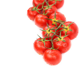 Big Cluster of Tomatoes