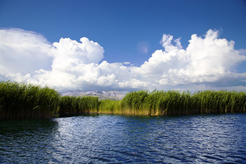 Obraz na płótnie Canvas Neretva river delta in Croatia