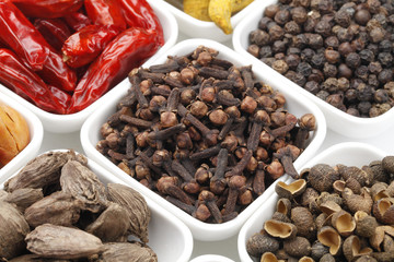 Variety of raw Authentic Indian Spices
