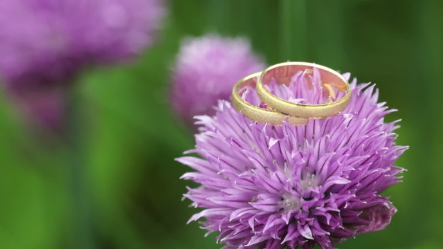Wedding rings on blossom in the wind