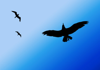 Fly!