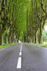 road