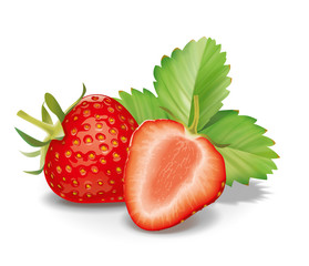 Strawberries illustration