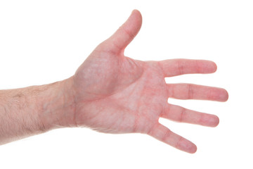 Hand Gesturing Number Five