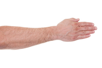 Close-up Of Human Palm Hand