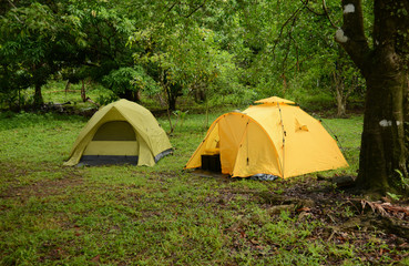 two tents on lush green campground