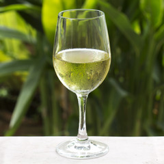White wine in the garden