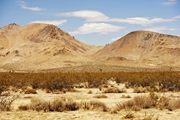 Mojave Desert Landscape