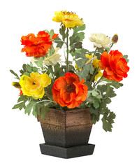 Rose flower in wood bucket