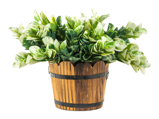 Artificial green branches in wood bucket