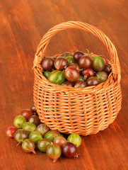 Fresh gooseberries in wicker basket on table close-up