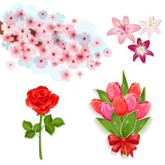 Set of isolated flowers for your design
