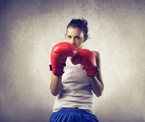 boxer