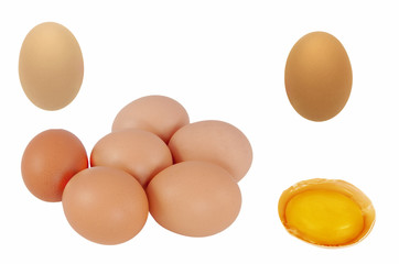 oeufs frais en vrac sur fond blanc