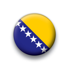 Vector flag button series Bosnia and Herzegovina